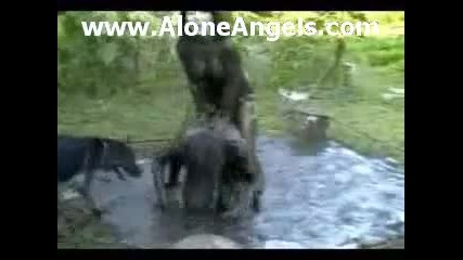2 European Girls in mud 
