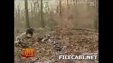 Кофти номер (скрита камера)