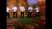 GOCI BEND - NE ZNA ON (BN Music Etno - Zvuci Zavicaja - BN TV)