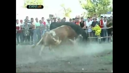 Najbolje 2008 Ii dio 