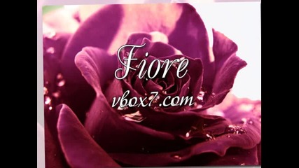 10. Al Bano & Romina Power - " Everybody Loves " /албум " Emozionale " 1995/