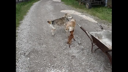 за секса размера не е от значение