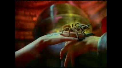 Enigma - Tnt For The Brain