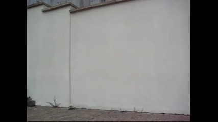Freeruning