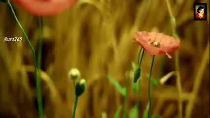 Say Welcome To Spring