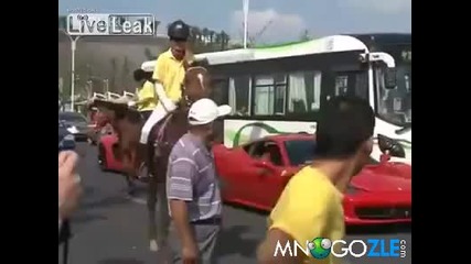 Кон мрази Ферари