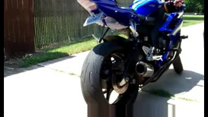 Yamaha R6 Рев