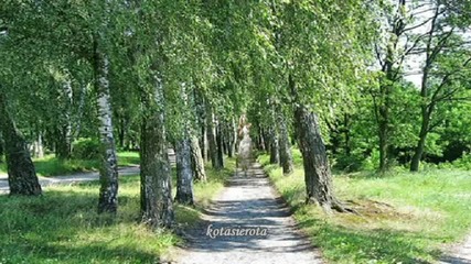 Birch tree road - Acker Bilk