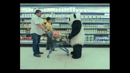 Никога Не Казвай Не На Панда 