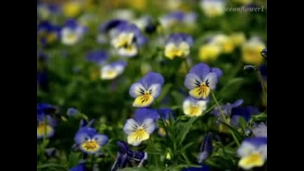 James Last - Scent of Spring