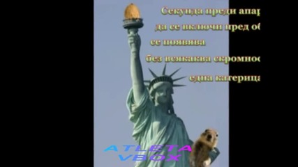 Катерица стана интернет звезда