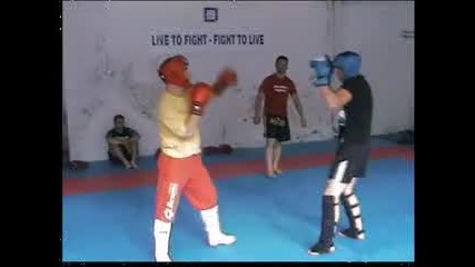 Mma Shogun Bulgaria Blagoevgrad
