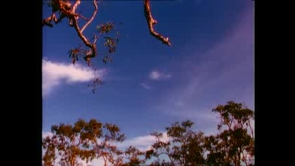 Talk Talk - Its My Life (uk Version) 