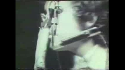 Bob Dylan - Maggies Farm (Live)