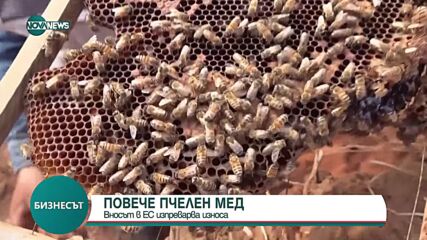 ПОВЕЧЕ МЕД: Вносът в ЕС изпреварва износа