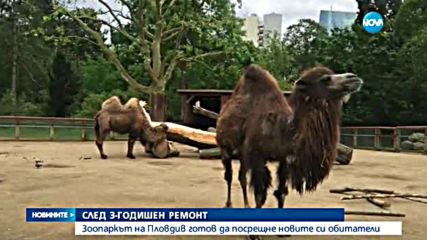 Пловдив ще има нова зоологическа градина