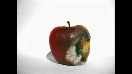 Животът На Една Ябълка - Колко Бързо Минава Времето 