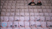 Portugal Pilots Warned of 70,000 Homing Pigeons