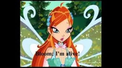 Winx Bloom-wonderland