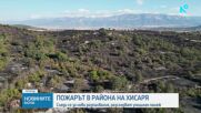 Има съмнения, че пожарът във вилна зона „Отдих” е умишлено запален