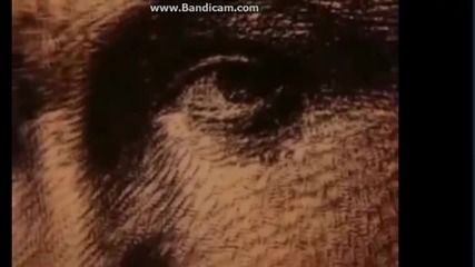 video (1)