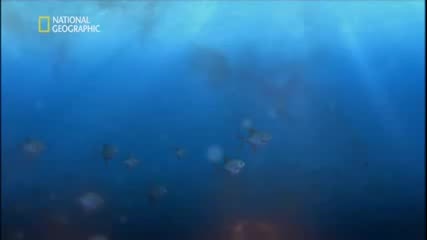 До Ядрото на Земята