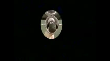 Wallace & Gromit - Shopper 13