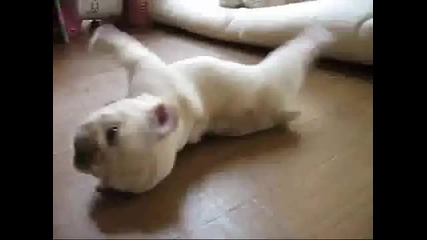 Е не е ли сладко