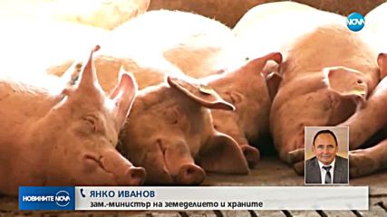 Русия спира вноса на свинско месо от България.