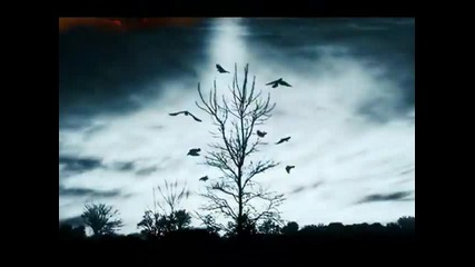 Sundown Sindrome - Vale of Crows