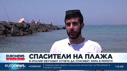 В Италия обучават кучета да спасяват хора в морето