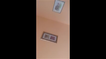 Vid_20230323_144109.mp4