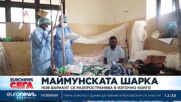 Нов вариант на маймунската шарка се разпространява в Източно Конго