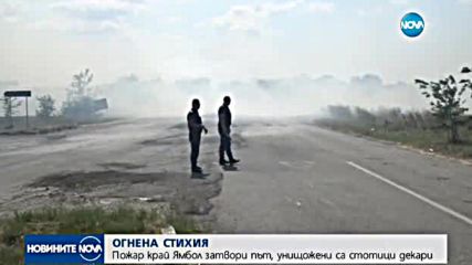 Голям пожар унищожи стотици декари растителност край Ямбол