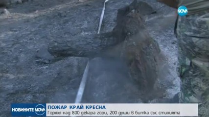 Потушиха пожара над Кресненското дефиле