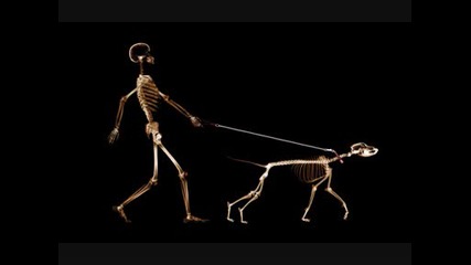 40 Amazing X Ray Wallpapers