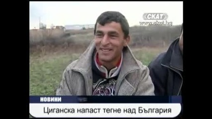 Циганска напаст тегне над България.