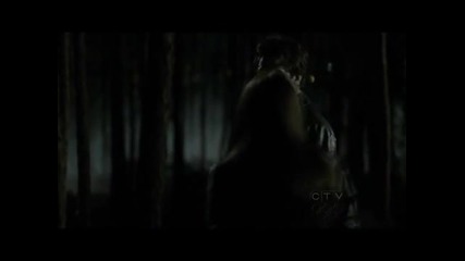Damon Elena - I never told you