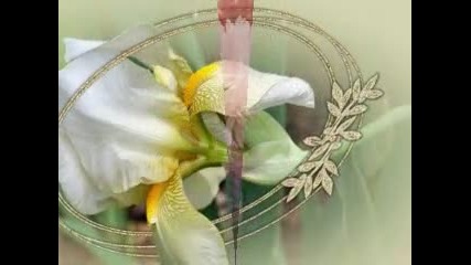 @ Честит 8 ми Март @ 
