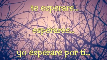 Xriz - Te Esperare con letra.