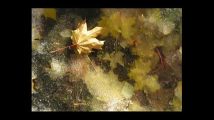 Diana Krall - Autumn Leaves