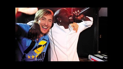 Akon ft David Guetta - Party Animal