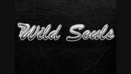 Wild Souls - When a Love is Gone
