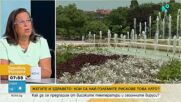 Жеги, вируси и ухапвания от комари: Какви са рисковете за здравето през лятото и как да се предпазим