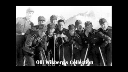 Finnish Waffen Ss Volunteers Ii