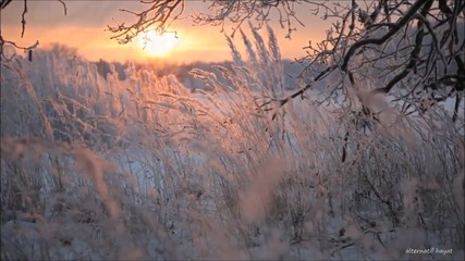 Мечти в Бяло