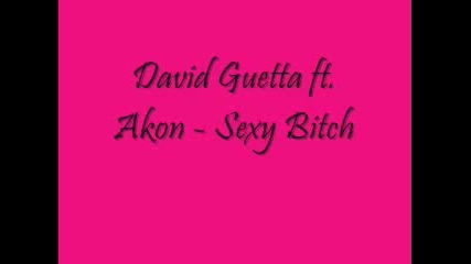 David Guetta ft. Akon - Sexy Bitch 