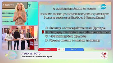 Какви тайни крие гората Хоя-Бачу в Румъния