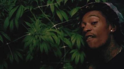 New!!! Ty Dolla Sign ft Wiz Khalifa - Irie [official Video]