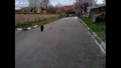 ivan ko4a